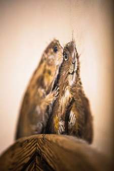 La Bouitte Spa, La Bèla Vya, la vie est belle Saint-Martin-de-Belleville