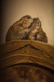 La Bouitte Echapées Belles