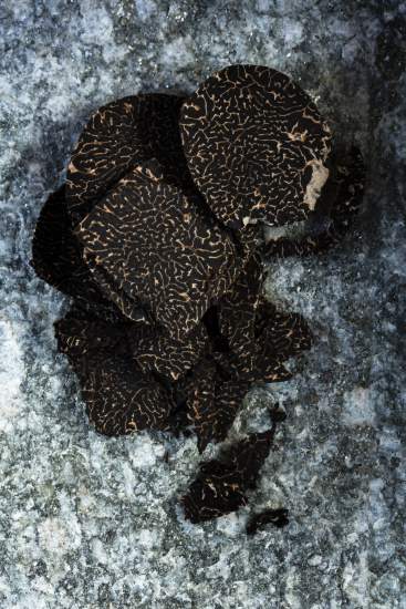 La Bouitte - Truffes